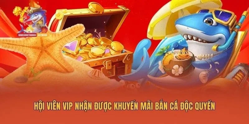 Hội viên VIP nhận được khuyến mãi bắn cá độc quyền